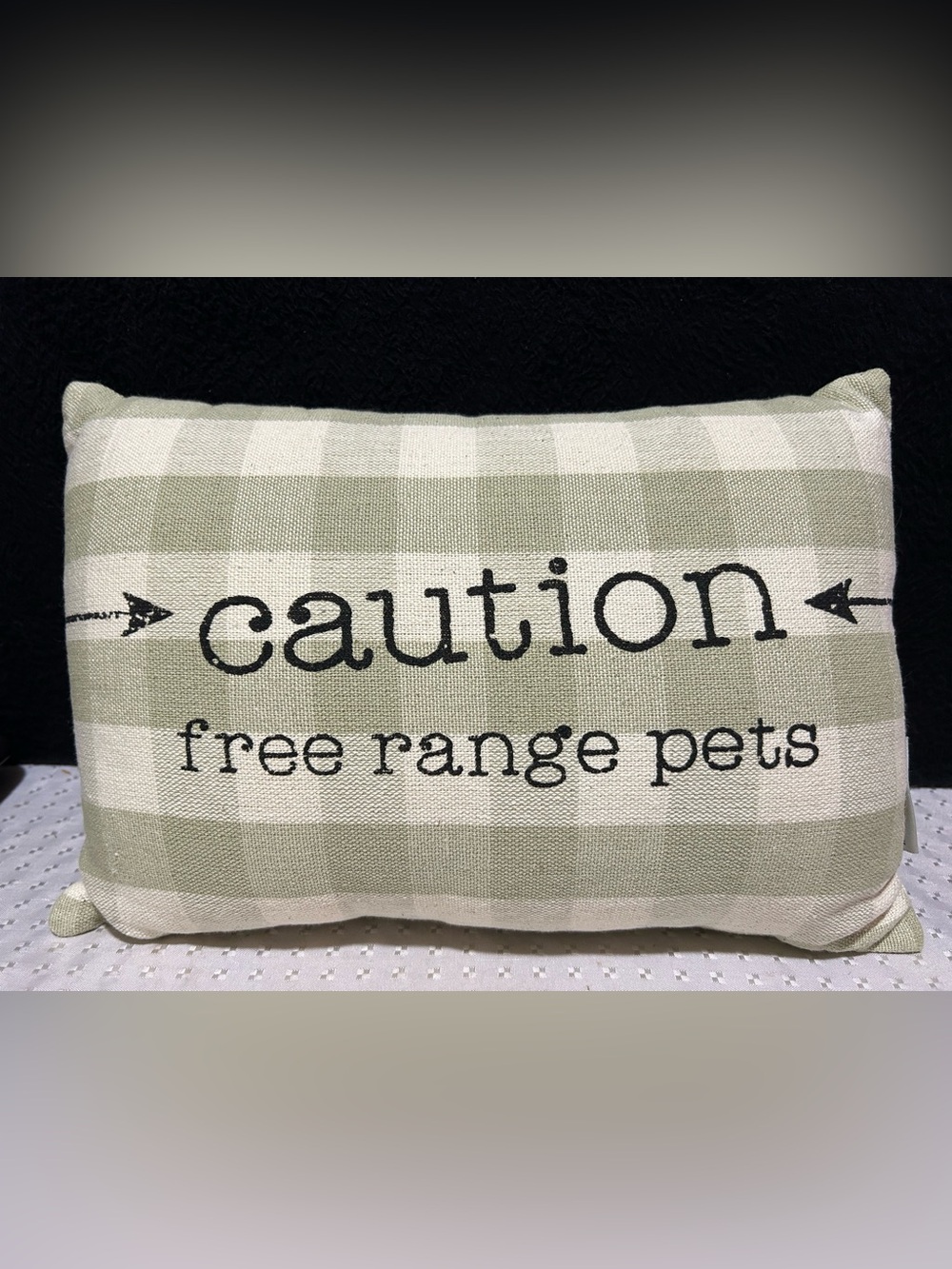 CAUTION FREE RANGE PETS Throw Pillow 10 x 15 Primitives by Kathy NEW